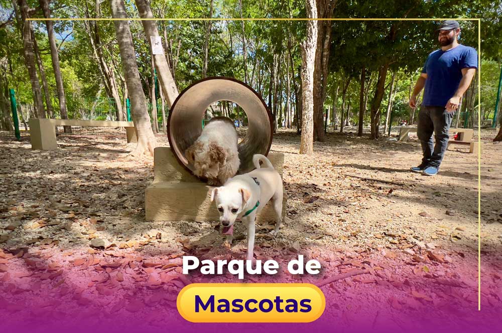 dogpark-amenidades