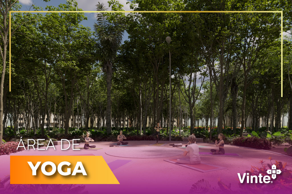 area-yoga