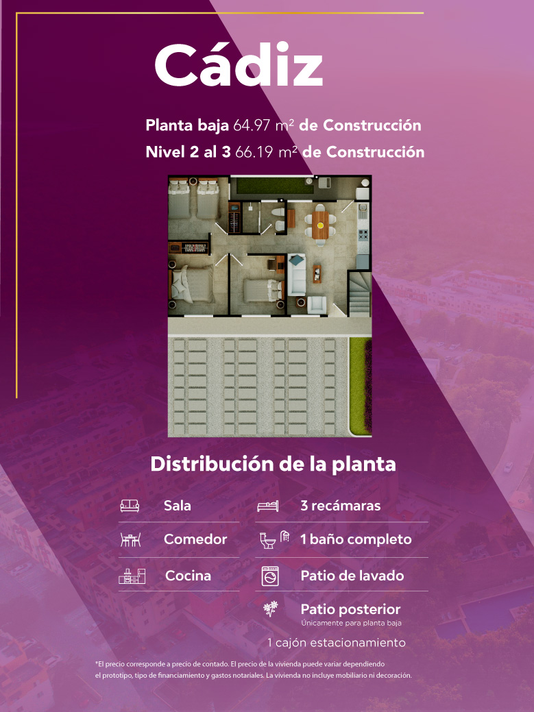 planta-cadiz